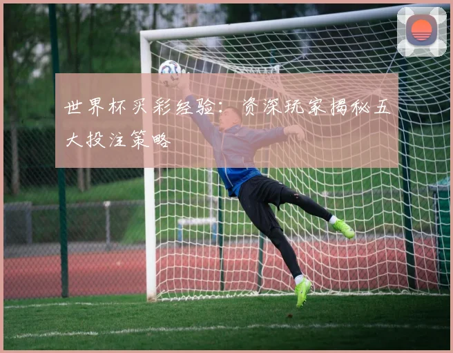 世界杯买彩经验:资深玩家揭秘五大投注策略
