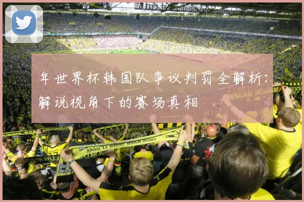 年世界杯韩国队争议判罚全解析:解说视角下的赛场真相