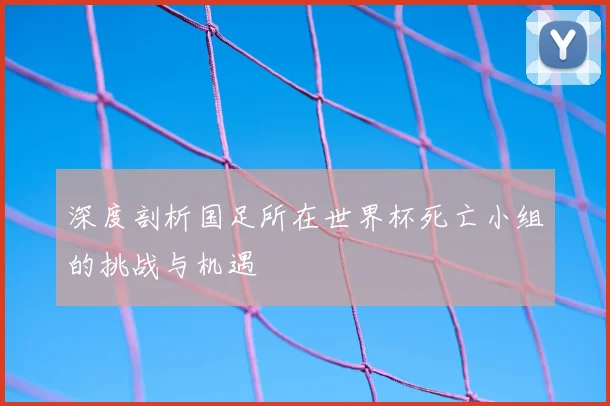 深度剖析国足所在世界杯死亡小组的挑战与机遇