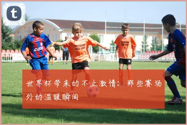世界杯带来的不止激情：那些赛场外的温暖瞬间