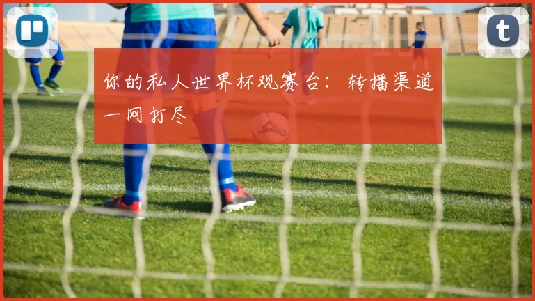 你的私人世界杯观赛台:转播渠道一网打尽