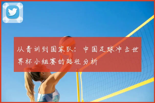 从青训到国家队：中国足球冲击世界杯小组赛的路径分析