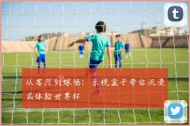 从客厅到球场:乐视盒子带你沉浸式体验世界杯