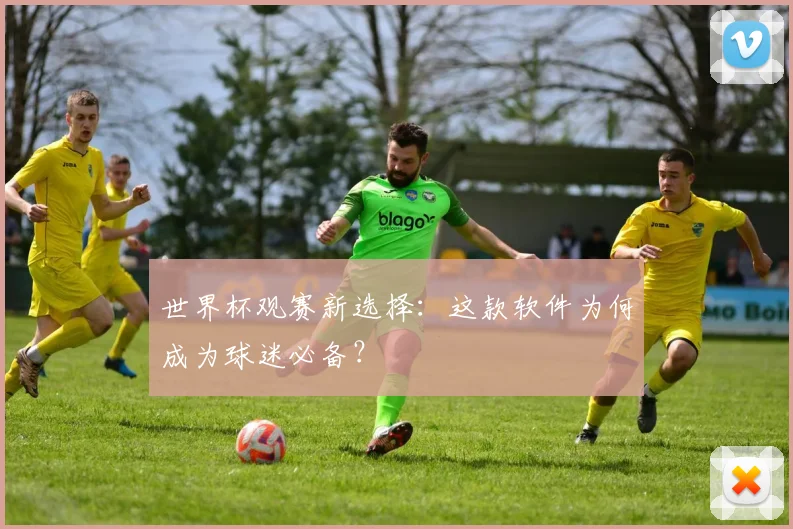 世界杯观赛新选择:这款软件为何成为球迷必备?