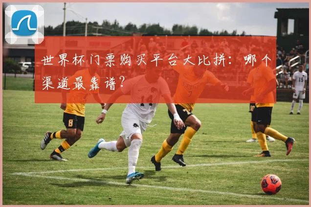 世界杯门票购买平台大比拼:哪个渠道最靠谱?