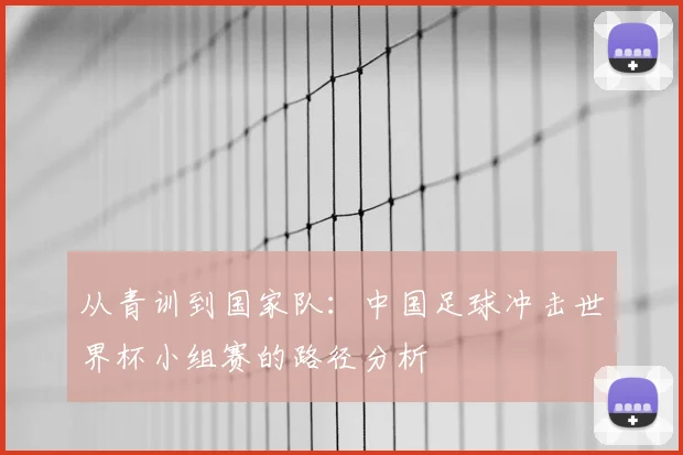 从青训到国家队：中国足球冲击世界杯小组赛的路径分析