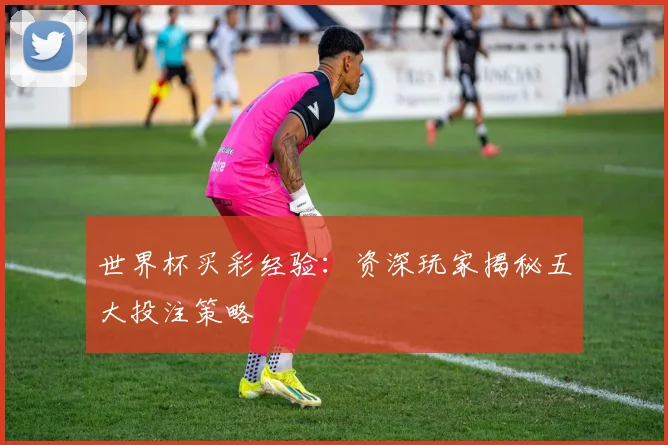 世界杯买彩经验:资深玩家揭秘五大投注策略