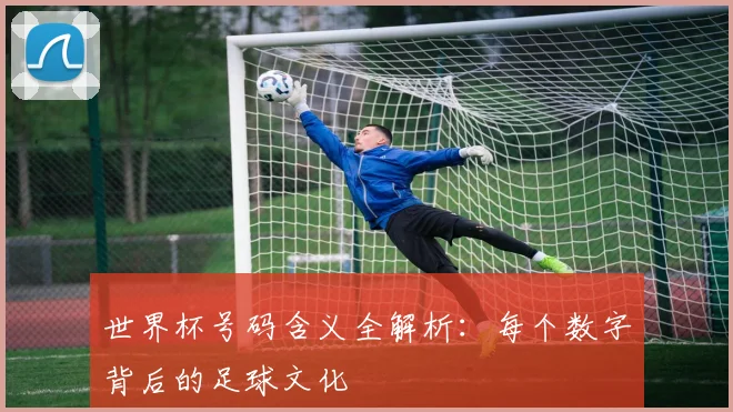 世界杯号码含义全解析:每个数字背后的足球文化