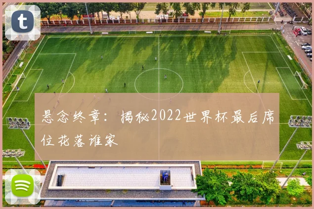 悬念终章：揭秘2022世界杯最后席位花落谁家
