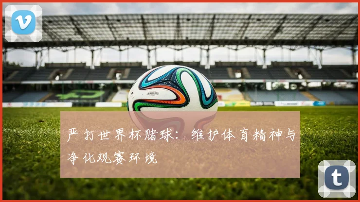 严打世界杯赌球：维护体育精神与净化观赛环境