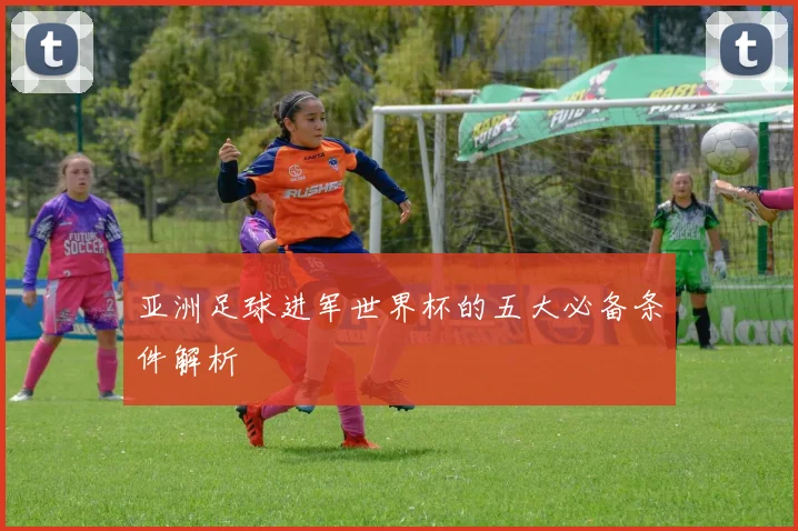 亚洲足球进军世界杯的五大必备条件解析